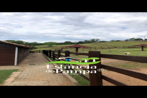 CABANHA À VENDA NO RS.00_00_27_14.Quadro060_3526015df5c627350d9bbb13738726ecbd376eab.jpg